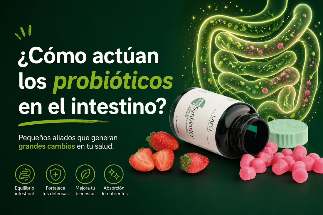 ¿Cómo actúan los probióticos en el intestino? Lo que realmente ocurre dentro de tu cuerpo
