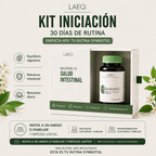 SynbiotiQ — Kit Iniciación